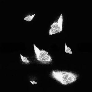 诱奸漂亮白嫩美女网址
