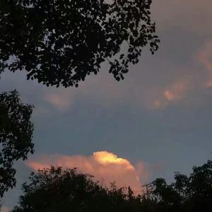 诱奸漂亮白嫩美女网址
